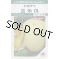 送料無料　[かぼちゃ]　金糸瓜　16粒　タキイ種苗(株)　GF