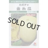 送料無料　[かぼちゃ]　金糸瓜　16粒　タキイ種苗(株)　GF