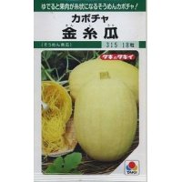 [かぼちゃ]　金糸瓜　16粒　タキイ種苗（株）　GF　