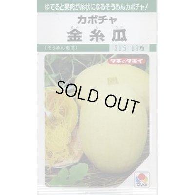画像1: 送料無料　[かぼちゃ]　金糸瓜　16粒　タキイ種苗(株)　GF