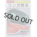 送料無料　[スイカ]　中玉スイカ　コンガ西瓜　7粒　大和農園