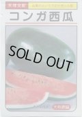送料無料　[スイカ]　中玉スイカ　コンガ西瓜　7粒　大和農園