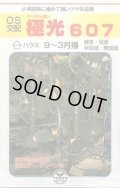 送料無料　[キュウリ]　極光607　350粒　ＯＳ交配埼玉原種育成会