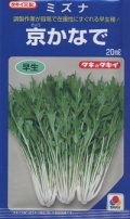 送料無料　[葉物]　水菜　京かなで　20ml　タキイ種苗(株)