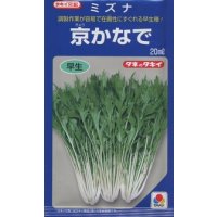 送料無料　[葉物]　水菜　京かなで　20ml　タキイ種苗(株)