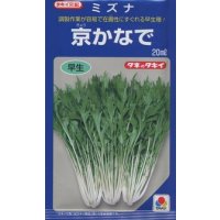 [葉物]　水菜　京かなで　20ml　タキイ種苗（株）