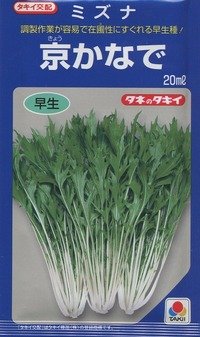 [葉物]　水菜　京かなで　20ml　タキイ種苗（株）