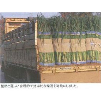 画像4: 農業資材　マキマキ　(ネギ用包装ネット)　宇部日東化成株式会社