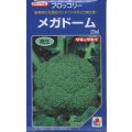 送料無料　[ブロッコリー]　メガドーム　20ml　生種(コートしてません)　タキイ種苗(株)