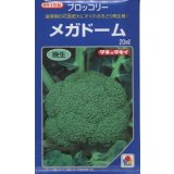 送料無料　[ブロッコリー]　メガドーム　20ml　生種(コートしてません)　タキイ種苗(株)