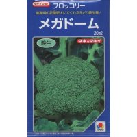 送料無料　[ブロッコリー]　メガドーム　20ml　生種(コートしてません)　タキイ種苗(株)