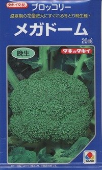 送料無料　[ブロッコリー]　メガドーム　20ml　生種(コートしてません)　タキイ種苗(株)