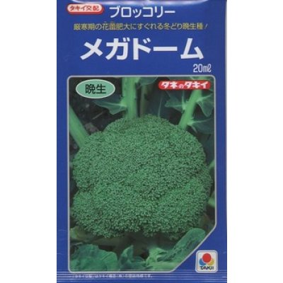画像1: 送料無料　[ブロッコリー]　メガドーム　20ml　生種(コートしてません)　タキイ種苗(株)