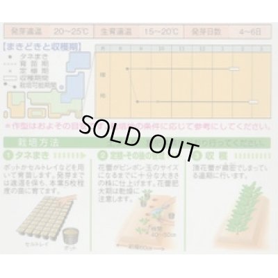 画像2: [ブロッコリー]　送料無料！　メガドーム　5000粒　ペレット種子　タキイ種苗（株）