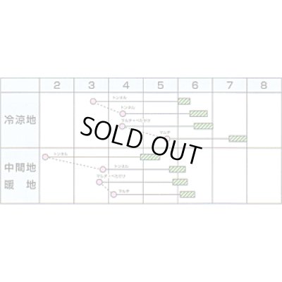 画像2: 送料無料　[大根]　美春　2dl　カネコ種苗（株）