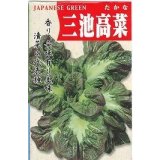 送料無料　[葉物]　三池高菜　10ml　(株)タカヤマシード