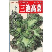 送料無料　[葉物]　三池高菜　10ml　(株)タカヤマシード