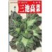 画像1: [葉物]　三池高菜　10ml　（株）タカヤマシード (1)