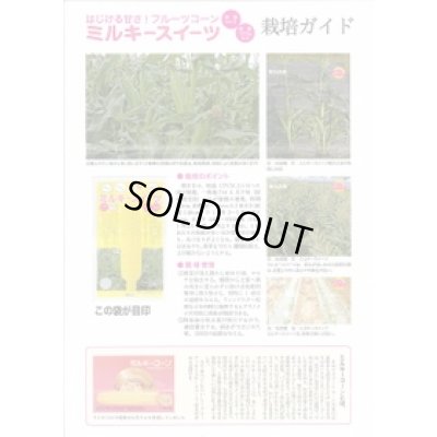 画像3: [とうもろこし]　ミルキースイーツ　2000粒　トキタ種苗(株)