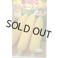 送料無料　[とうもろこし]　ミルキースイーツ　200粒　トキタ種苗(株)