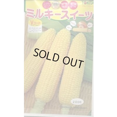 画像1: 送料無料　[とうもろこし]　ミルキースイーツ　200粒　トキタ種苗(株)