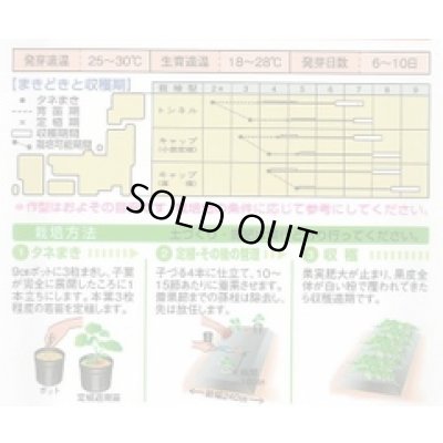 画像2: 送料無料　[瓜類]　長とうがん　22ml　タキイ種苗(株)　GF