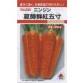 送料無料　[人参]　夏蒔鮮紅五寸　2dl　タキイ種苗