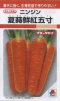 送料無料　[人参]　夏蒔鮮紅五寸　2dl　タキイ種苗