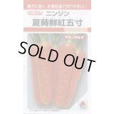 送料無料　[人参]　夏蒔鮮紅五寸　8ml　タキイ種苗　RF