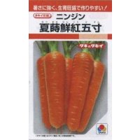 送料無料　[人参]　夏蒔鮮紅五寸　2dl　タキイ種苗