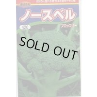 送料無料　[ブロッコリー]　ノースベル　70粒　渡辺農事