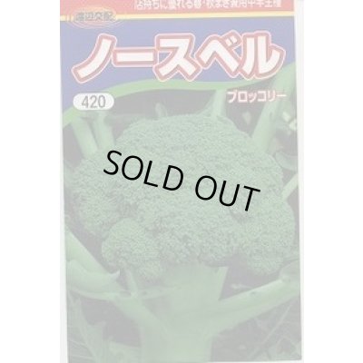 画像1: 送料無料　[ブロッコリー]　ノースベル　60粒　渡辺農事（株）