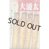 送料無料　[牛蒡]　大浦太　1dl（2025年10％増量）　丸種（株）