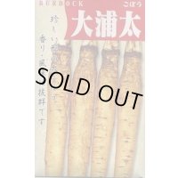 送料無料　[牛蒡]　大浦太　1dl（2025年10％増量）　丸種（株）