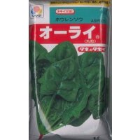 [ほうれんそう]　オーライ　1L　タキイ種苗（株）