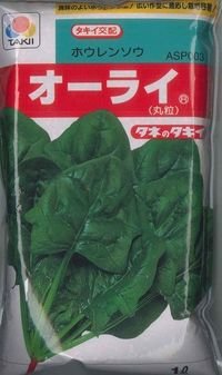 [ほうれんそう]　オーライ　1L　タキイ種苗(株)