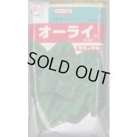 [ほうれんそう]　オーライ　1L　タキイ種苗(株)
