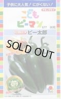 送料無料　[ピーマン]　こどもピーマン　ピー太郎　27粒　タキイ種苗(株)　DF
