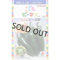 送料無料　[ピーマン]　こどもピーマン　ピー太郎　27粒　タキイ種苗(株)　DF