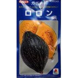 送料無料　[かぼちゃ]　ロロン　100粒　タキイ種苗(株)