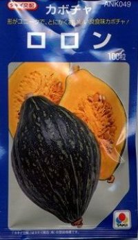 送料無料　[かぼちゃ]　ロロン　100粒　タキイ種苗(株)