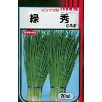 [ねぎ]　緑秀　（小ねぎ）　20ml　サカタのタネ（株）