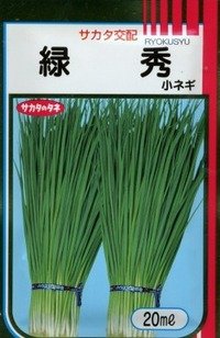 [ねぎ]　緑秀　（小ねぎ）　20ml　サカタのタネ（株）