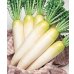 画像2: 送料無料　[大根]　桜風　3.5ml　タキイ種苗(株)　DF (2)