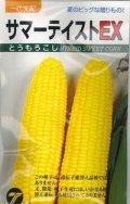 送料無料　[とうもろこし]　サマーテイストＥＸ　200粒　(株)タカヤマシード