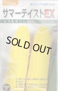 送料無料　[とうもろこし]　サマーテイストＥＸ　200粒　(株)タカヤマシード