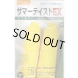 送料無料　[とうもろこし]　サマーテイストＥＸ　200粒　(株)タカヤマシード