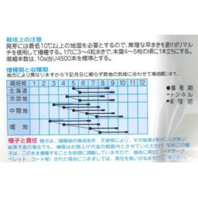 画像2: [とうもろこし]　　サマーテイストＥＸ 　　200粒　（株）タカヤマシード