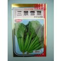 送料無料　[葉物]　三景雪菜　20ml　(株)サカタのタネ