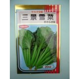 送料無料　[葉物]　三景雪菜　20ml　(株)サカタのタネ